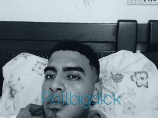 Pollbigdick