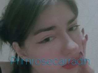 Primrosecarradin
