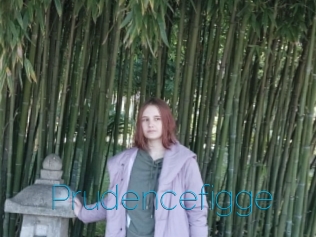 Prudencefigge