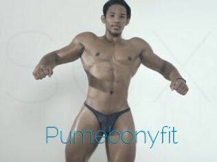 Pumebonyfit