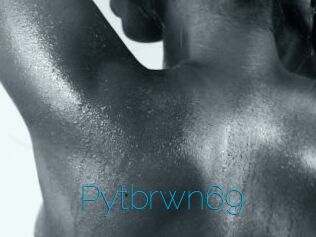 Pytbrwn69