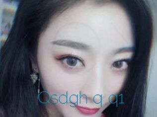 Qsdgh_q_q1
