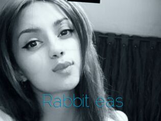 Rabbit_eas