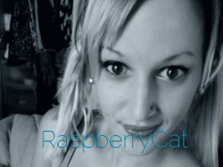 RaspberryCat