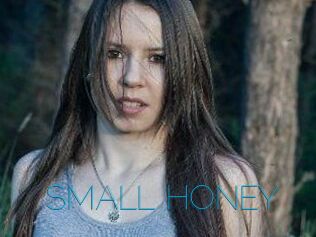 SMALL_HONEY