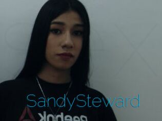 SandySteward
