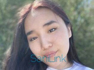 SaniLink
