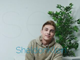 SheldonKlein