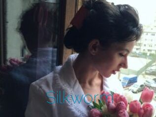 Silkworm