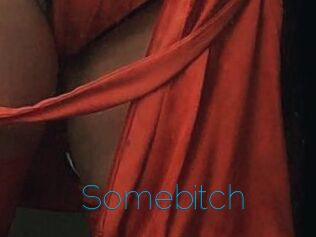 Somebitch