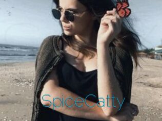 SpiceCatty