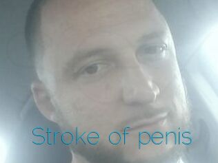 Stroke_of_penis
