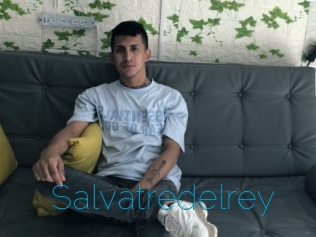 Salvatredelrey