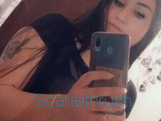 Scarlethrush