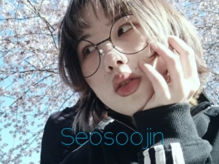 Seosoojin