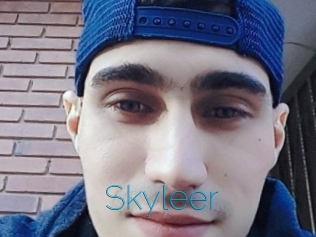 Skyleer