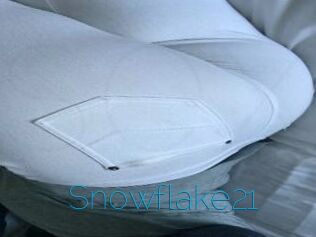 Snowflake21