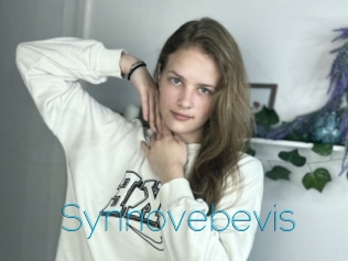 Synnovebevis