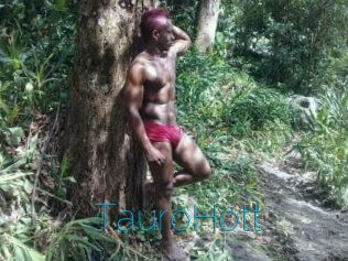 Tauro_Hott