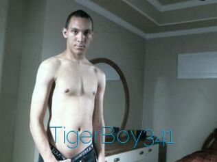 TigerBoy341