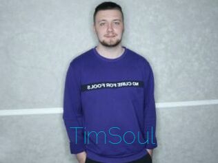 TimSoul