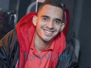 TonyWolfs