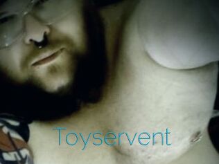 Toyservent