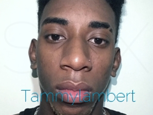 Tammylambert