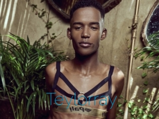 Teylorray