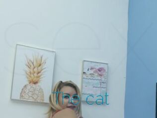 The_cat