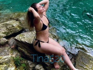 Tina520