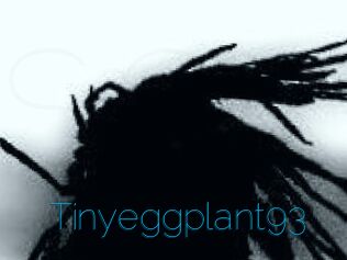 Tinyeggplant93