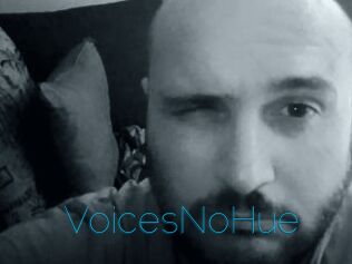 VoicesNoHue