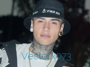 Vectorx073