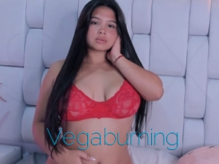 Vegaburning