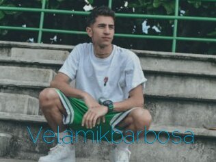 Velamikbarbosa