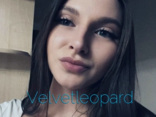 Velvetleopard