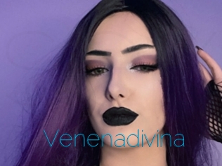 Venenadivina