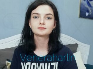Veneraharlin