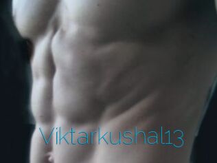Viktarkushal13