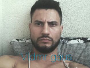 Vldmr_gaus