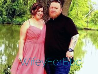 WifeyForBbc
