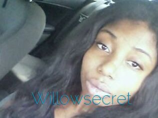 Willow_secret