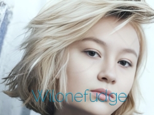 Wilonefudge