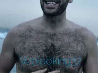 Wplooking37