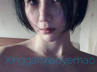 Xingganxiaoyemao