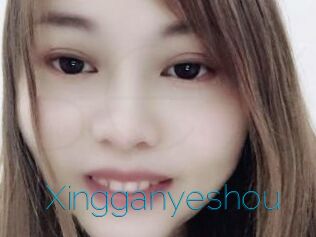 Xingganyeshou