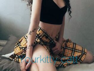 Yourkitty_catt