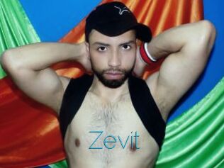 Zevit